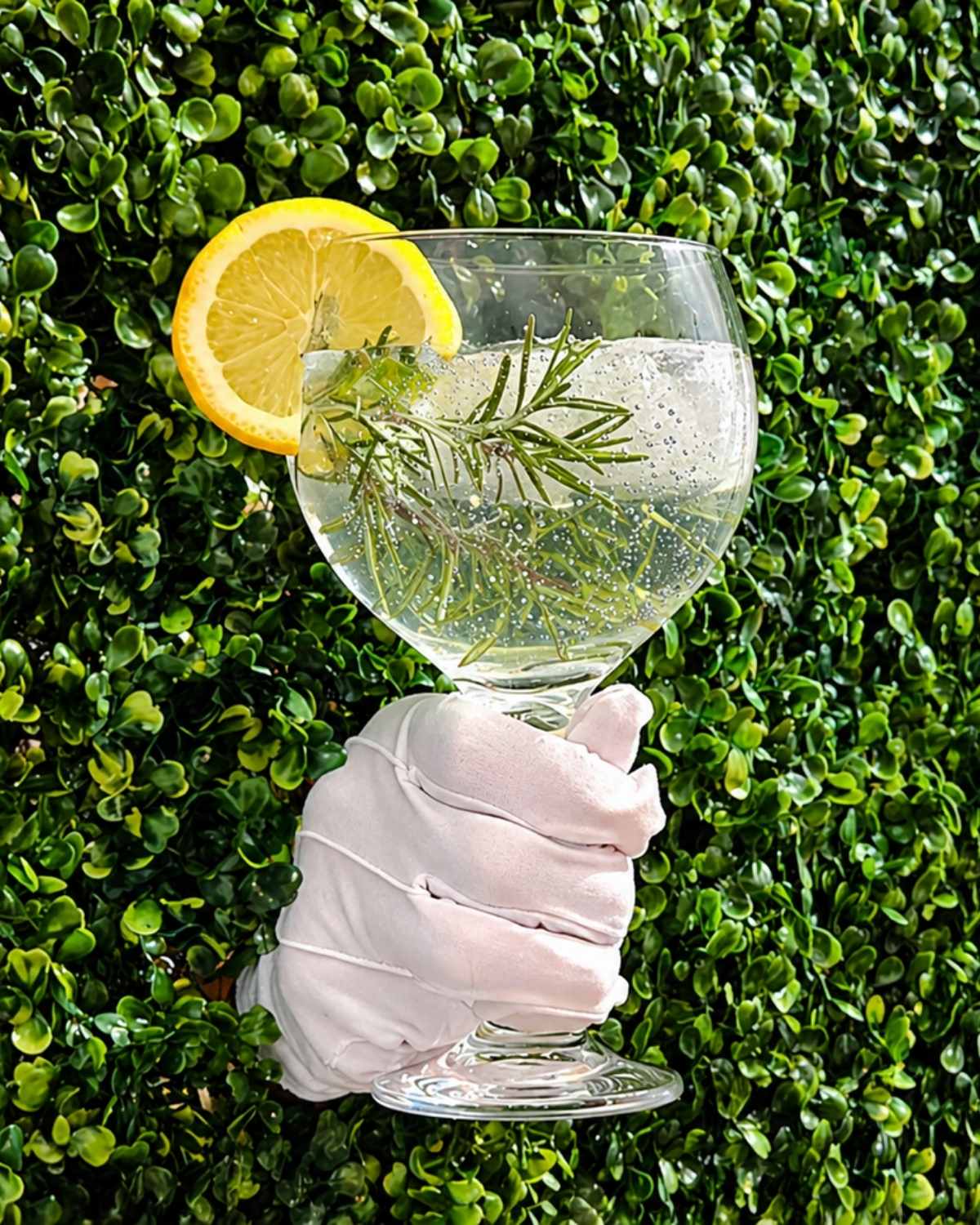 The Hedge Bar - Image 9