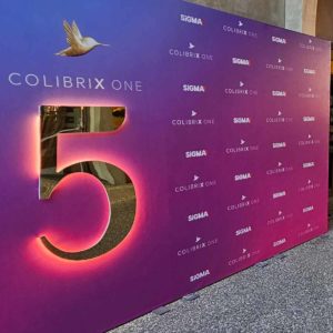Custom Backdrops