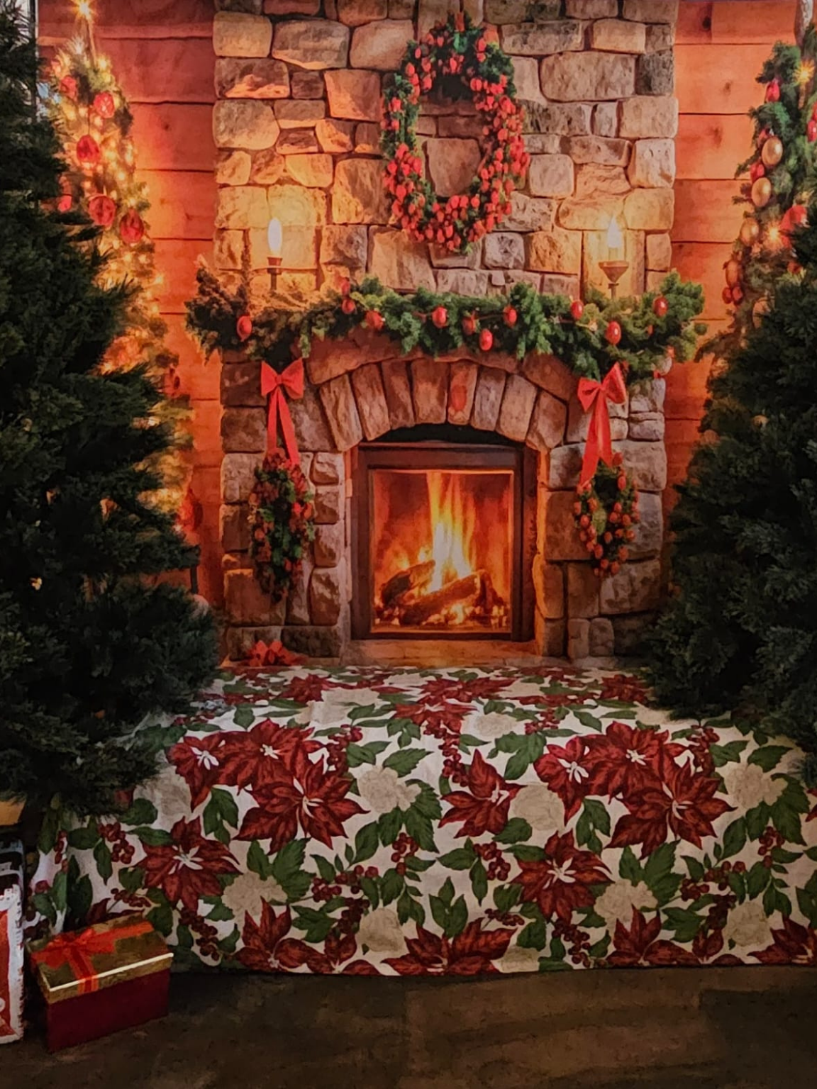 Festive Photo Walls & Decor - Image 2